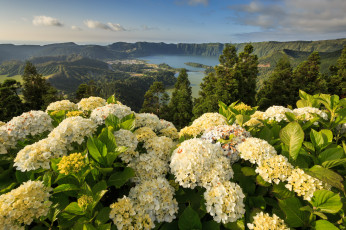 Картинка lagoon of the seven cities mosteiros azores portugal природа пейзажи гортензии португалия азорские острова моштейруш