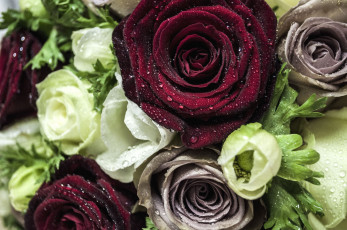 Картинка цветы разные вместе капли розы эустома