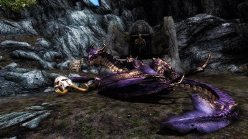 Картинка the elder scrolls skyrim видео игры дракон