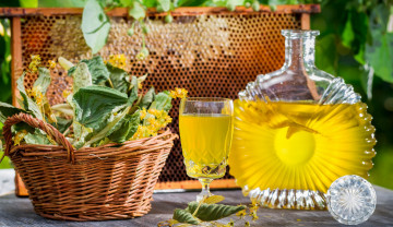 Картинка еда напитки вино мид медовое липа бутылка бокал