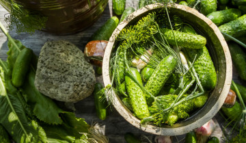 Картинка еда огурцы заготовки засолка огурчики