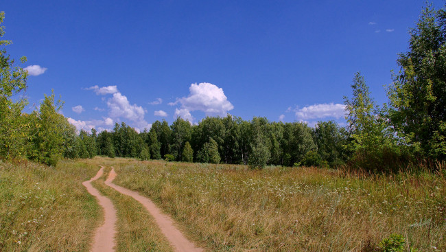 Обои картинки фото природа, дороги, дорога, лес