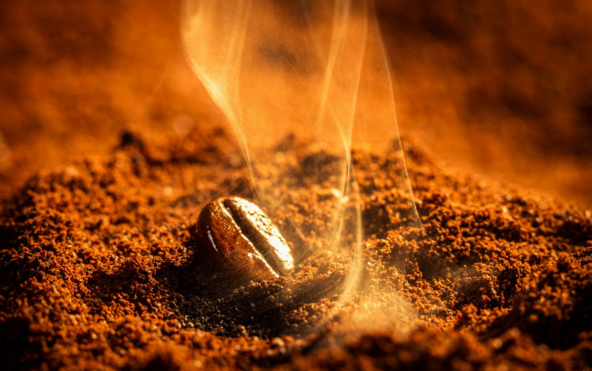 Обои картинки фото еда, кофе, кофейные, зёрна, аромат