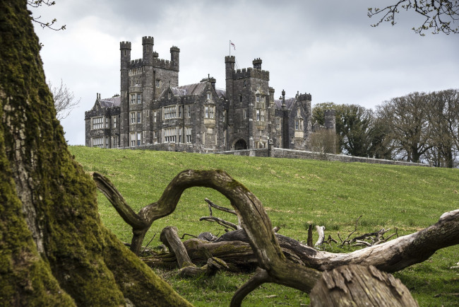Обои картинки фото города, дворцы, замки, крепости, дворец, дерево