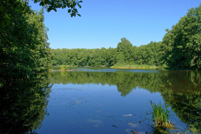 Обои картинки фото природа, реки, озера, лес, озеро