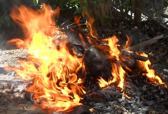 Обои картинки фото природа, огонь, костер