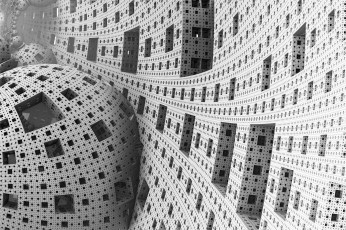 Картинка животные собаки шпиц