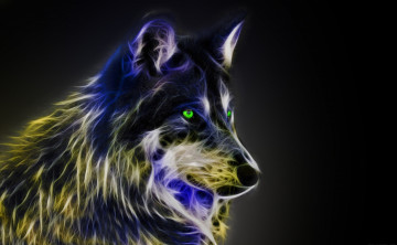 Картинка разное компьютерный+дизайн собака взгляд