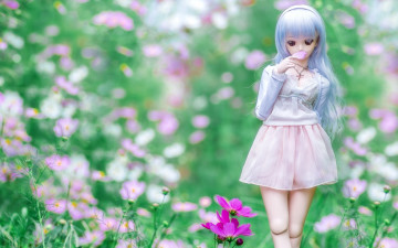 Картинка разное игрушки кукла девушка космея луг лето