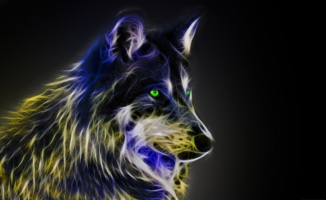 Обои картинки фото разное, компьютерный дизайн, собака, взгляд
