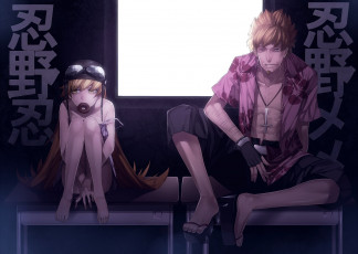 Картинка аниме bakemonogatari девочка мужчина