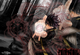 Картинка аниме fairy+tail хвост феи