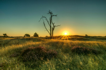 Картинка природа восходы закаты рассвет