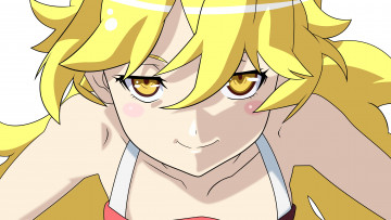 Картинка аниме bakemonogatari фон взгляд девушка