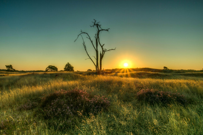 Обои картинки фото природа, восходы, закаты, рассвет