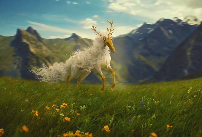 Обои картинки фото фэнтези, существа, лошадь