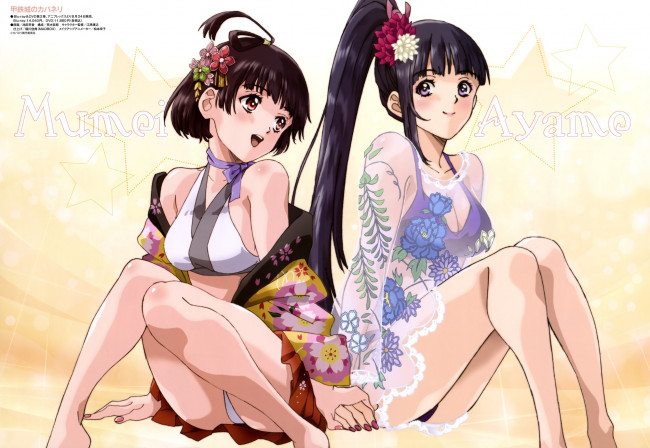 Обои картинки фото аниме, koutetsujou no kabaneri, девушки