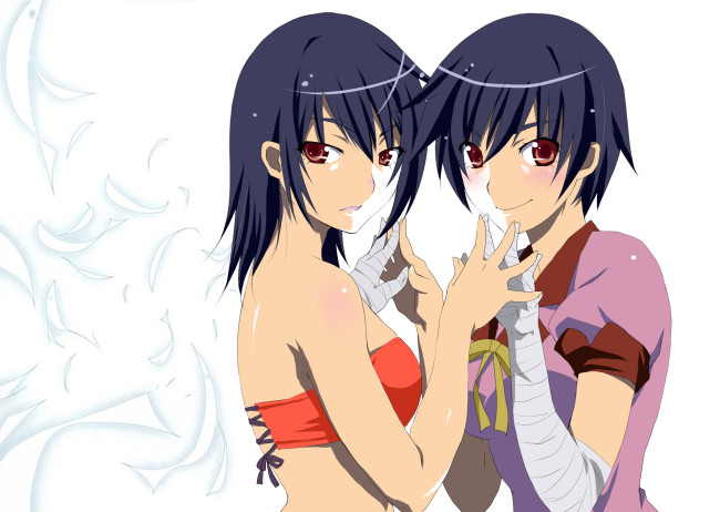 Обои картинки фото аниме, bakemonogatari, девушка