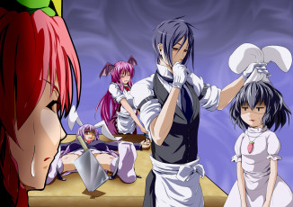 Картинка аниме unknown +другое kuroshitsuji темный дворецкий inaba tewi koakuma reisen udongein hong meiling передник проект восток перчатки touhou project crossovers sebastian michaelis ушки тесак костюм