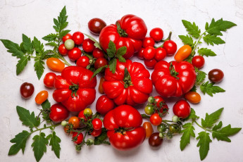 Картинка еда помидоры томат
