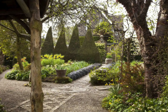 Картинка города -+здания +дома дорожка растения деревья здание газон