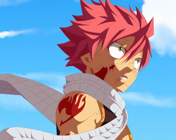 Обои картинки фото аниме, fairy tail, хвост, феи