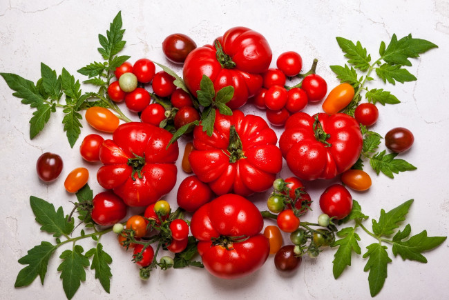 Обои картинки фото еда, помидоры, томат