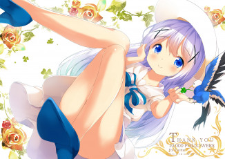 Картинка аниме gochuumon+wa+usagi+desu+ka девушка