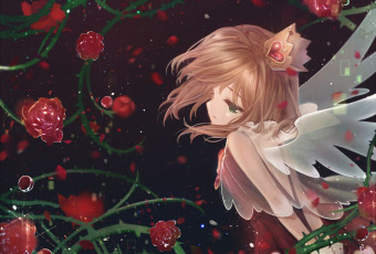 Картинка аниме card+captor+sakura девочка