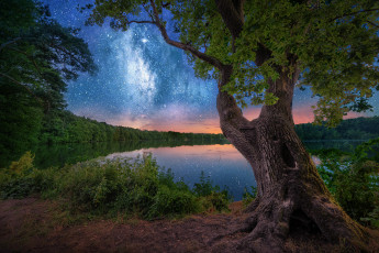 Картинка природа реки озера простор