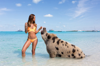 Картинка девушка девушки carmella+rose модель