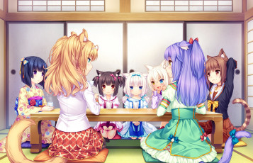 Картинка аниме nekopara взгляд девушки фон