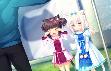 Картинка аниме nekopara взгляд фон девушки