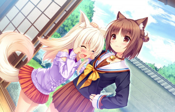 Картинка аниме nekopara взгляд фон девушки