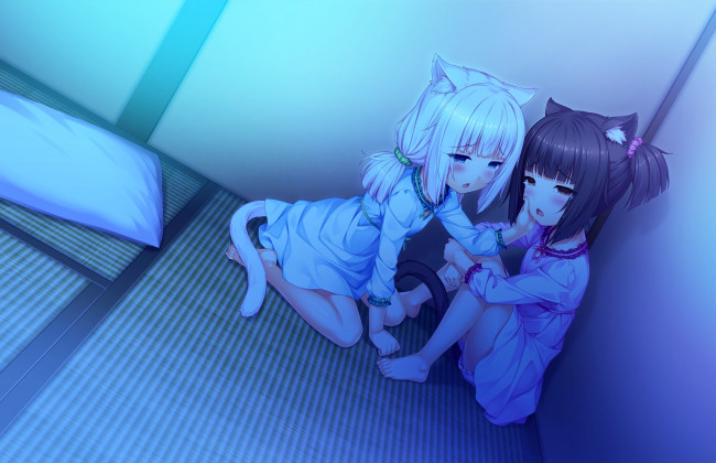 Обои картинки фото аниме, nekopara, фон, взгляд, девушки