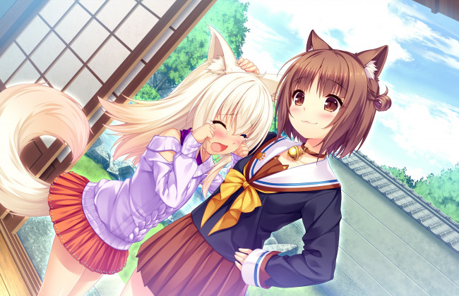 Обои картинки фото аниме, nekopara, взгляд, фон, девушки