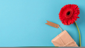 Картинка праздничные подарки+и+коробочки гербера алая подарок