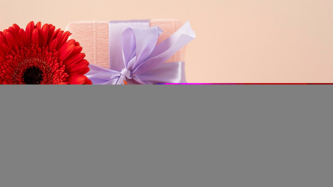 Обои картинки фото праздничные, подарки и коробочки, герберы, подарок, лента, бант, записка