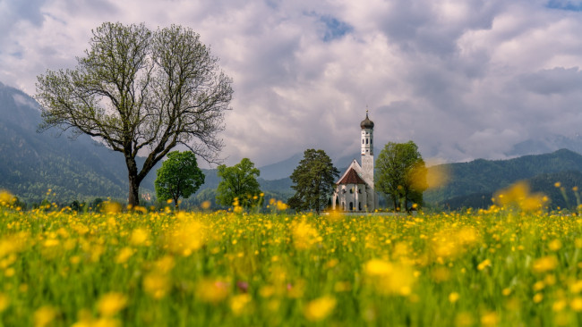 Обои картинки фото st coloman church, schwangau, bavaria, города, - католические соборы,  костелы,  аббатства, st, coloman, church