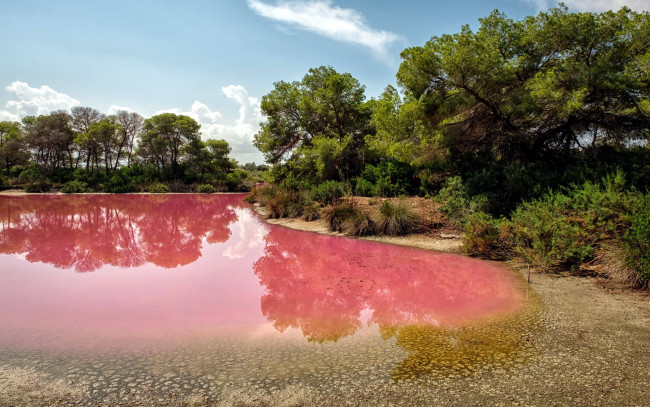 Обои картинки фото pink waters of albufera, spain, природа, реки, озера, pink, waters, of, albufera