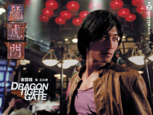 Картинка кино фильмы dragon tiger gate