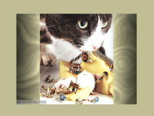 Картинка разное