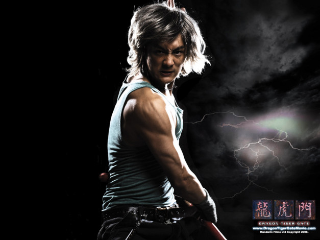 Обои картинки фото кино, фильмы, dragon, tiger, gate