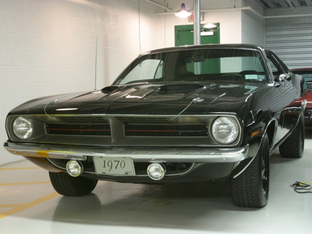 Обои картинки фото plymouth, cuda, автомобили, выставки, уличные, фото