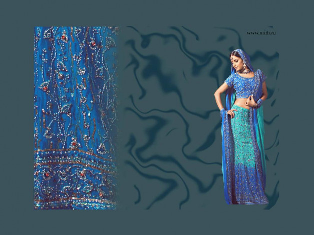 Обои картинки фото сари, разное