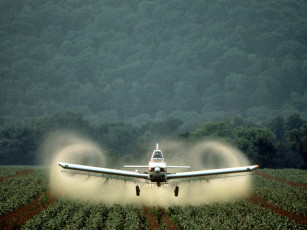 Картинка авиация другое