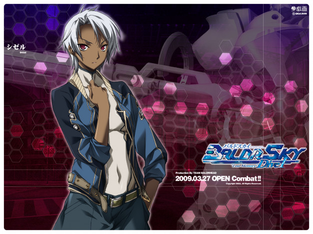 Обои картинки фото аниме, baldr, force, exe, resolution