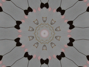 Картинка 3д графика fractal фракталы цвета абстракция узор