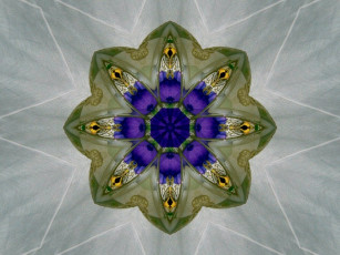 Картинка 3д графика fractal фракталы цвета абстракция узор