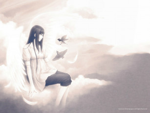 Картинка аниме innocent grey девушка птицы